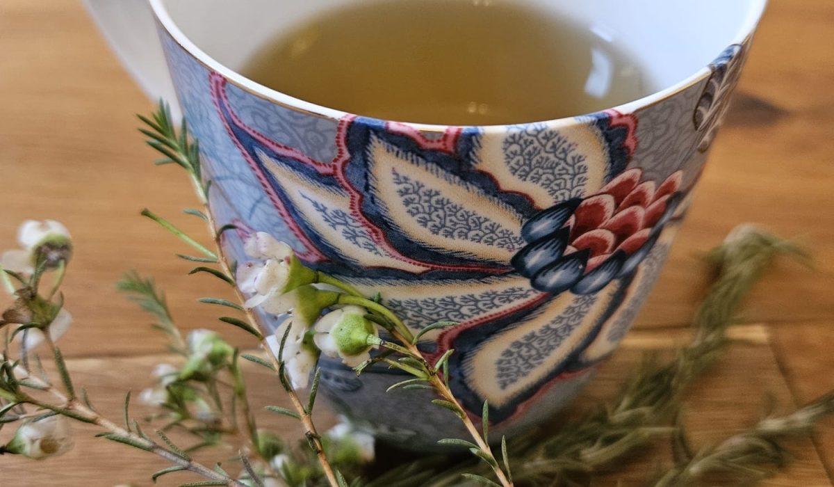 dieta herbs
