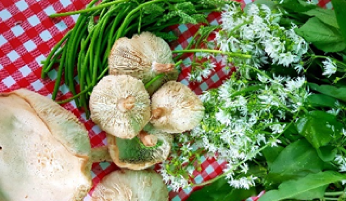 image (23)